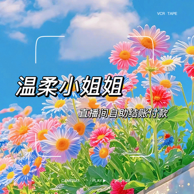 温柔小姐姐直播间自助结账发饰