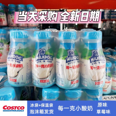 每一克小酸奶草莓原味200g*12瓶