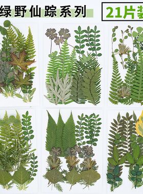 树叶植物标本书签材料包