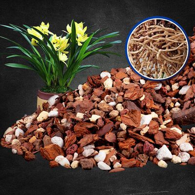 兰花专用透气石斛松树皮营养土