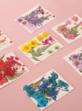干花书签押花手工材料包