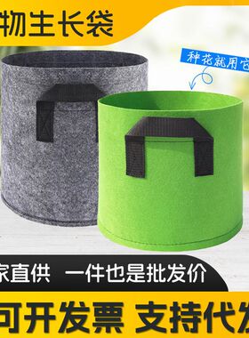 植物美植袋种植种植盆庭院阳台种菜盆植物花盆纺布种植袋