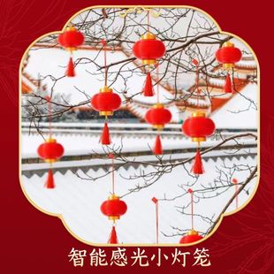 小红灯笼挂饰感光电池盆景专用新年院子户外树上装饰布置