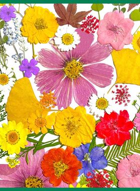 亲子押花滴胶干花材料包