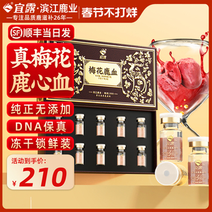 宜露梅花鹿心血粉研磨超微冻干新鲜鹿血粉胶囊搭鹿血肽晶送长辈