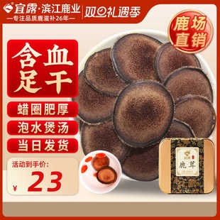 宜露鹿茸红粉片正品 吉林鹿茸片干货泡酒泡水专用药材官方旗舰店