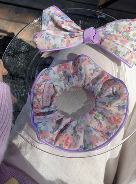 紫色大肠发圈蝴蝶结~2026春季新款温柔小碎花气质丸子头发绳发饰A