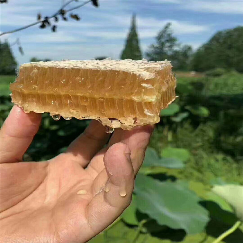 江西天湖山土特产农家自产一年割一次的纯百花蜜食用蜜糖一斤包邮