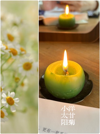 【春天】天然草药纯植物蜡烛 一组三只 朴蝉