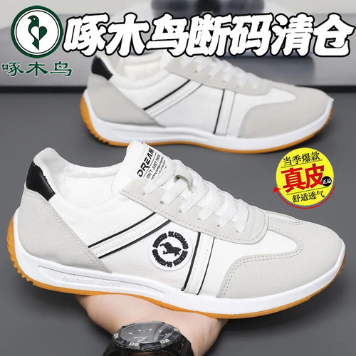 啄木鸟断码清仓新款男士透气阿甘休闲鞋百搭轻便防臭软底运动男鞋