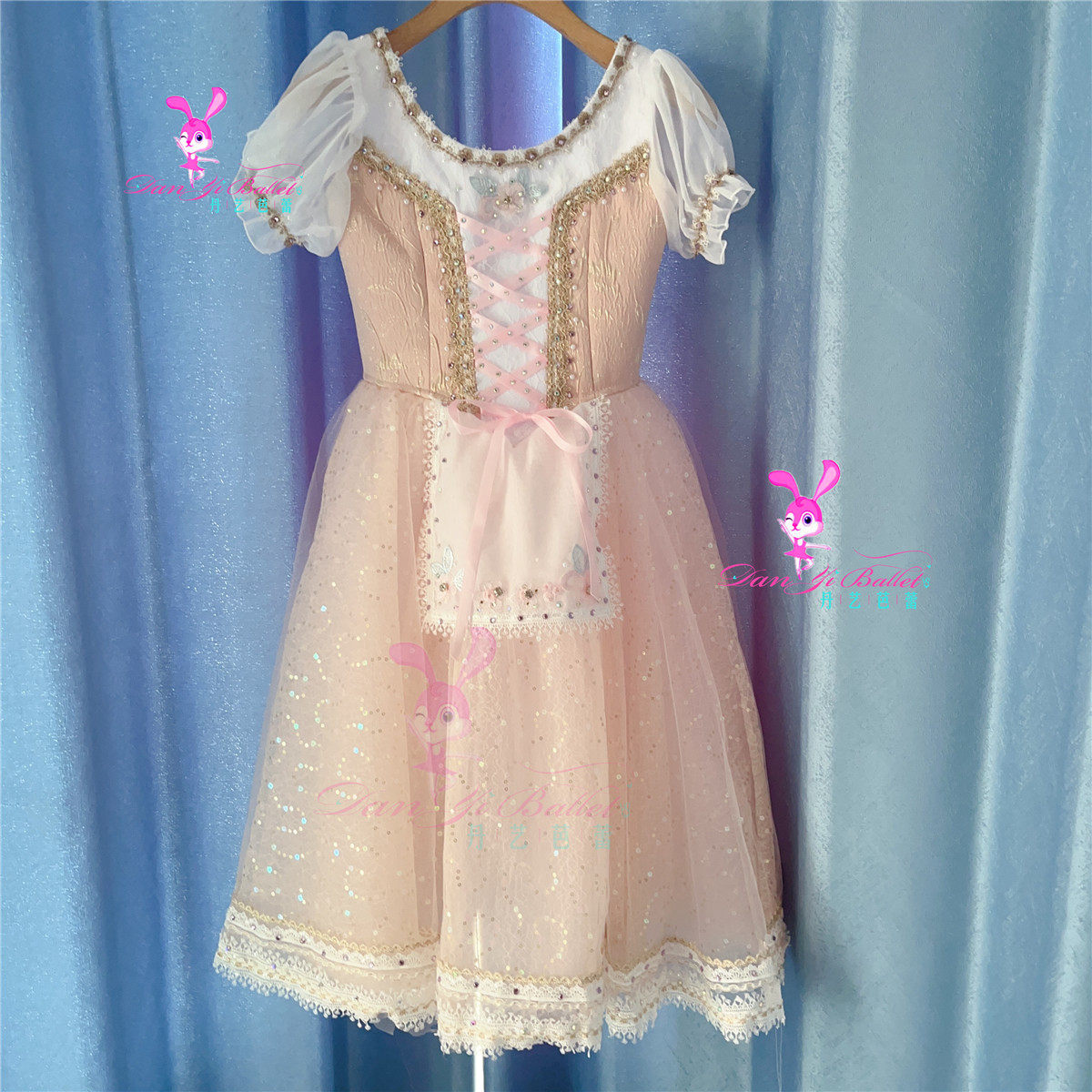 丹艺关不住的女儿儿童芭蕾舞演出服盘裙tutu比赛服表演服专业定制