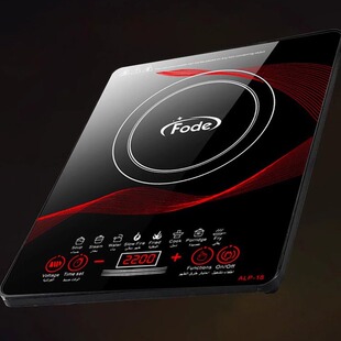 110V220V伏智能电磁炉家用电池炉电磁灶炒菜火锅炉出口北美加日台