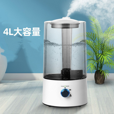 Humidifier家用香薰喷雾器欧美英日澳规空气加湿器110V220V雾化器