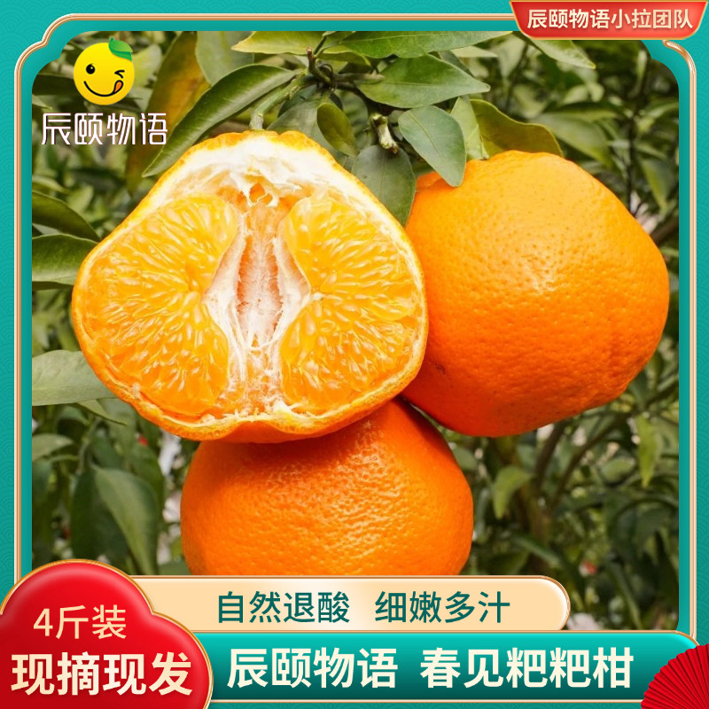 辰颐物语春见耙耙柑桔子橘子新鲜应季现摘水果粑粑柑丑八怪直发,水产肉类/新鲜蔬果/熟食,桔子,淘宝优惠券,粉丝福利购,淘宝优惠卷