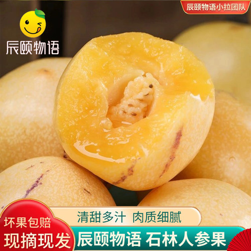辰颐物语云南石林人参果圆果水果