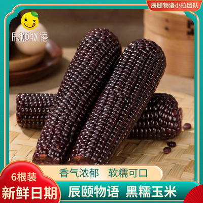 辰颐物语山西忻州黑糯玉米甜糯