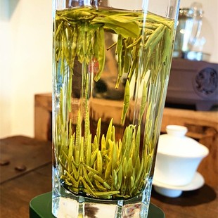 2025新绿茶叶 宁海望海茶明前精品 望海茶1号高山茶 自产茶场