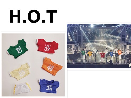 组合HOT同款玩偶衣服现货