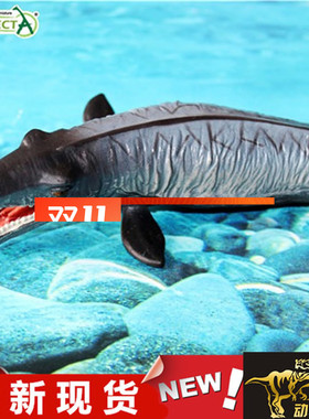 Collecta我你他男女孩子仿真恐龙模型玩具 海王龙88320 现货