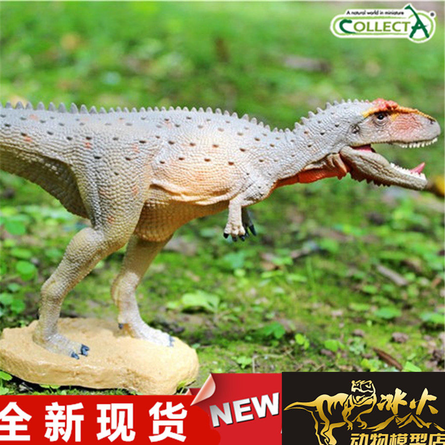 collecta我你他动物恐龙模型玩具 2018 马普龙88821 全新现货