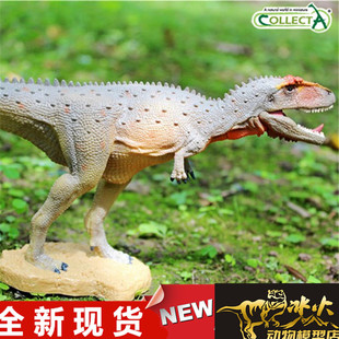 COLLECTA我你他动物恐龙模型玩具 2018 马普龙88821 全新现货