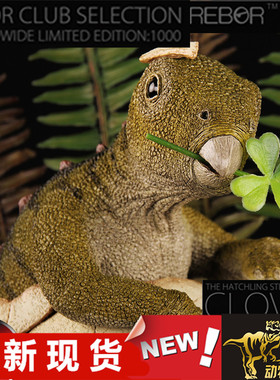 REBOR恐龙剑龙蛋宝宝雕像全球限量版成人大孩子收藏模型玩具现货