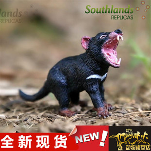 澳洲Southlands南国萌物园澳大利亚动物模型 全新现货 袋獾