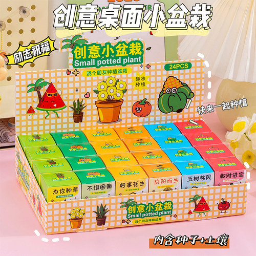 儿童迷你桌面盆栽小盲盒幼小礼物