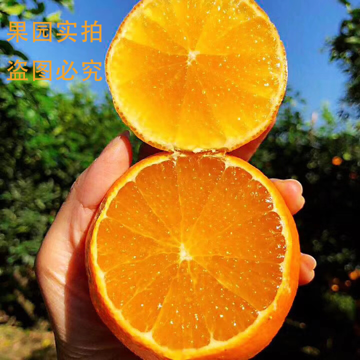 四川眉山果冻橙孕妇水果箱装