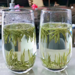 2025年银针茶特级乌牛早茶芯温州茶叶玉针茶御针茶明前茶春茶礼盒