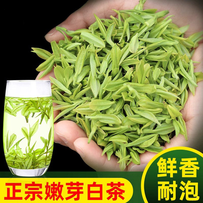 【明前高档嫩芽】白茶2025新茶珍稀袋装嫩芽炒青茶可升级罐装礼盒,茶,安吉白茶,淘宝优惠券,粉丝福利购,淘宝优惠卷