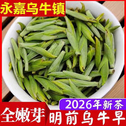 现货2026年乌牛早茶新茶明前特级头采芽永嘉浓香50克茶叶乌牛早