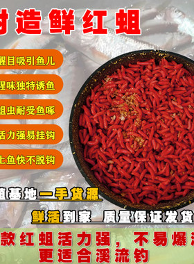 半日闲鲜活大个体红蛆活饵