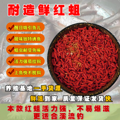 半日闲鲜活大个体红蛆活饵