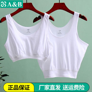 AB内衣中老年纯棉套头背心式 宽松全棉透气奶奶胸罩S902 文胸大码