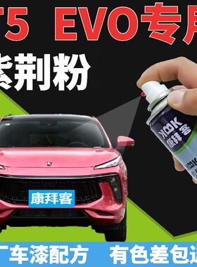风行t5evo补漆笔紫荆粉汽车划痕修复自喷漆粉色手喷漆原厂粉红色