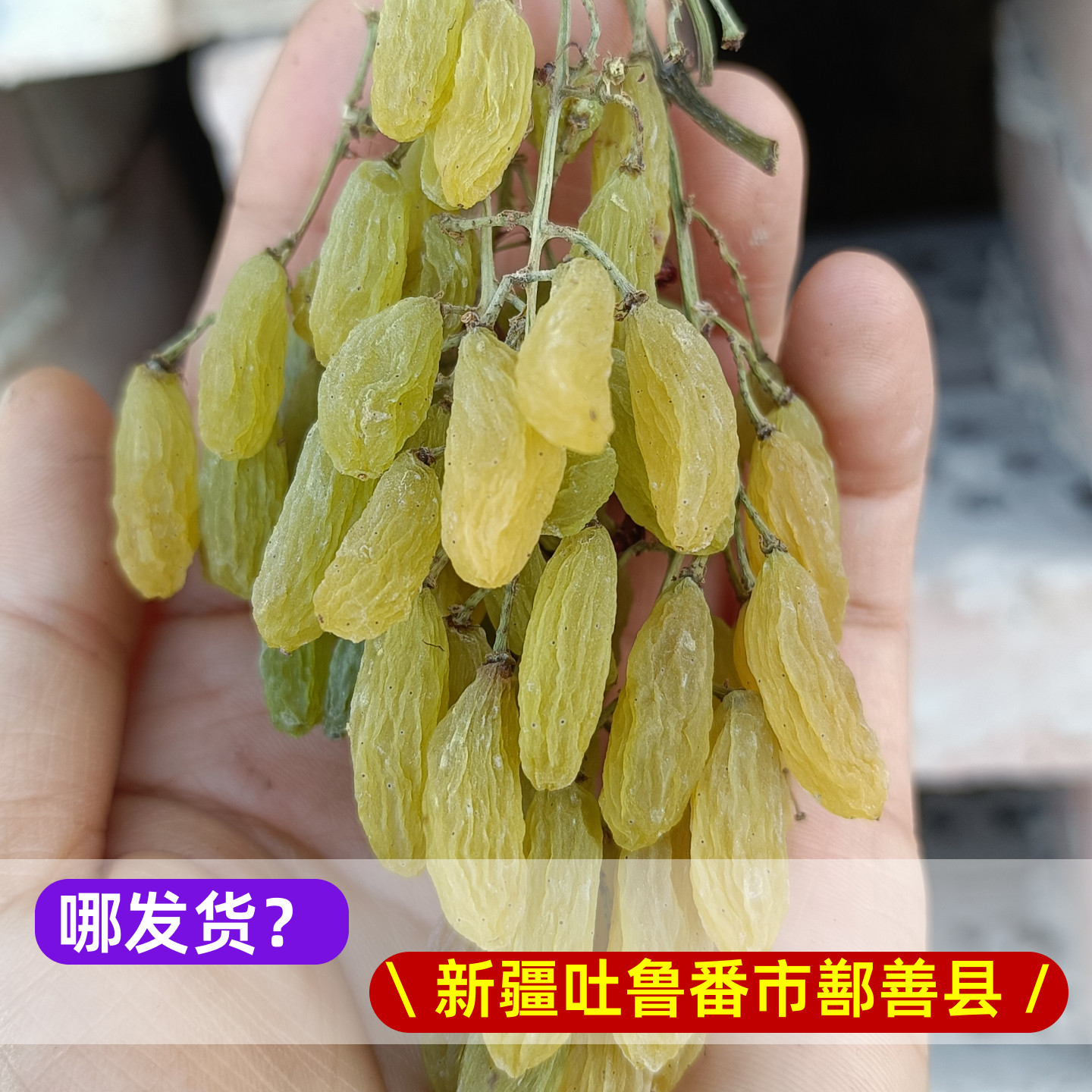 无核白葡萄干2025新货新疆吐鲁番特产直销特级免洗树上黄自然风干