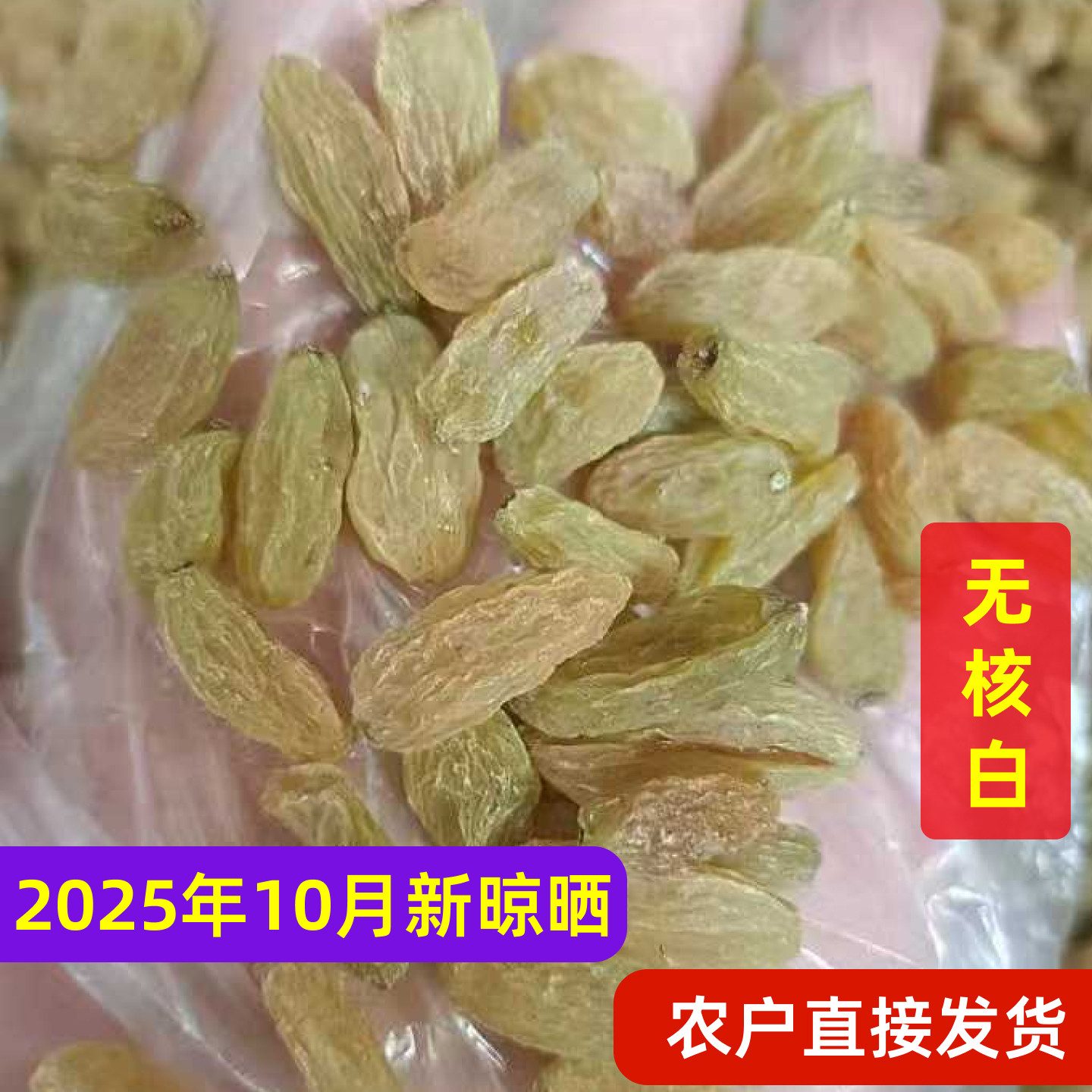 无核白葡萄干2025新货新疆吐鲁番特产直销特级免洗树上黄自然风干