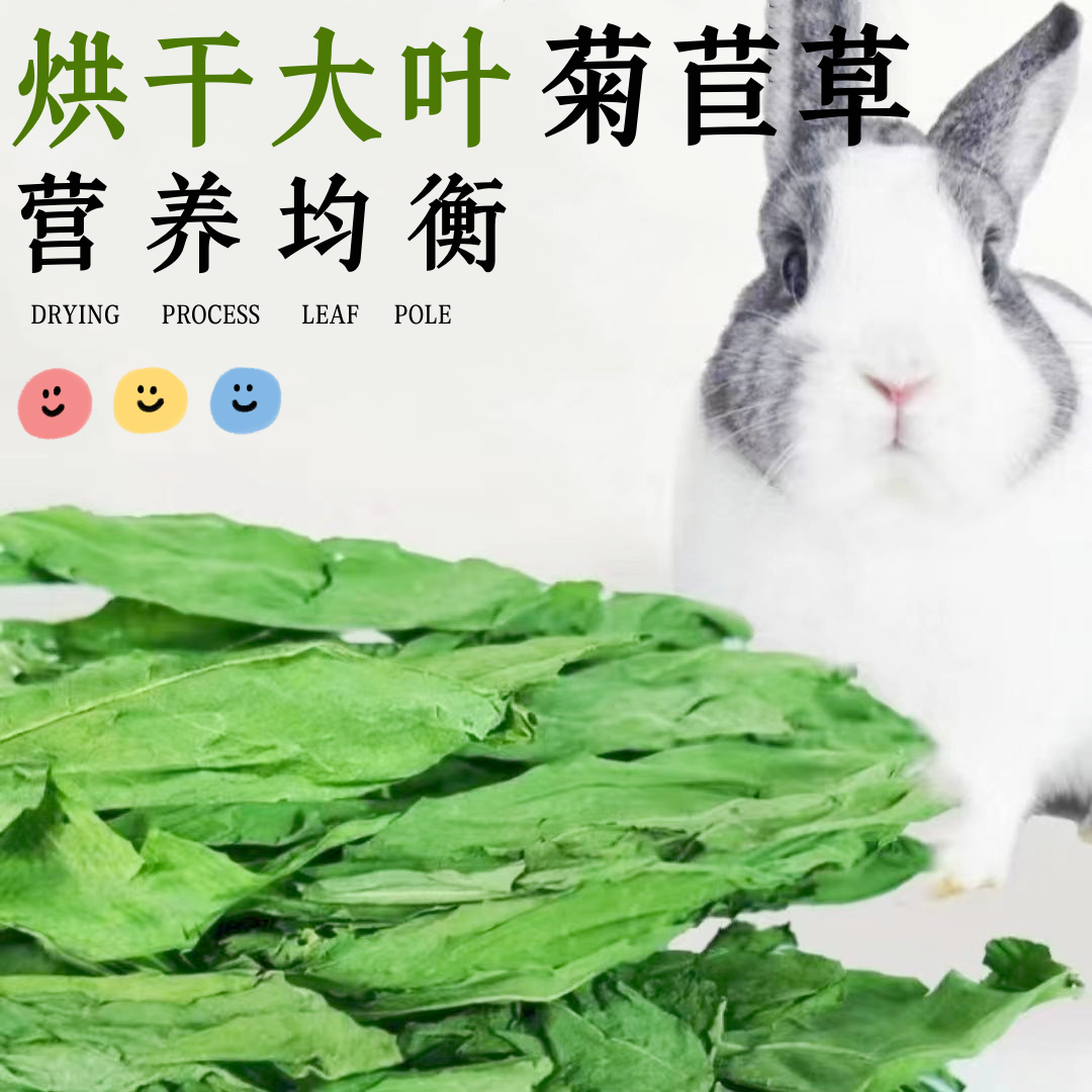 25年烘干菊苣草兔子龙猫荷兰猪豚鼠牧草饲料500g调理肠胃预防拉肚,宠物/宠物食品及用品,兔兔干草,淘宝优惠券,粉丝福利购,淘宝优惠卷