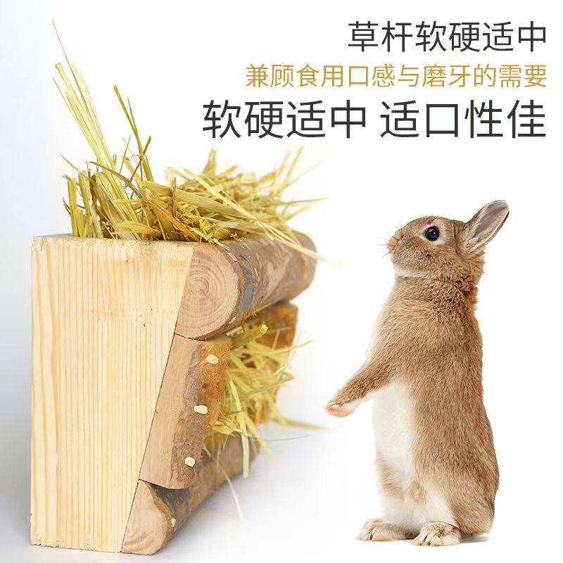 澳洲黄金燕麦进口澳麦干草手挑版现货500克兔子草料龙猫豚鼠牧草