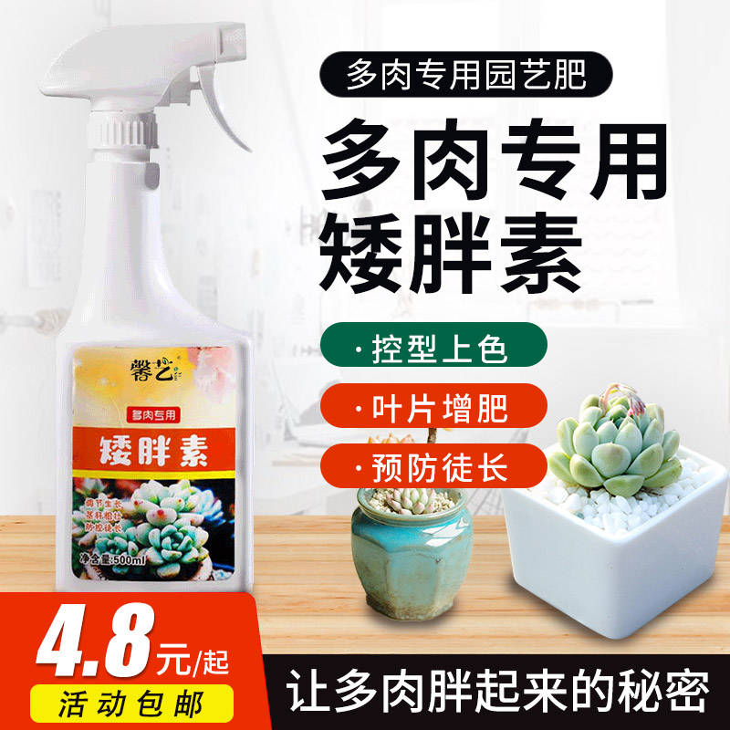 多肉专用营养液肥料肥矮胖素增色生长复合肥爆芽叶面肥通用肥