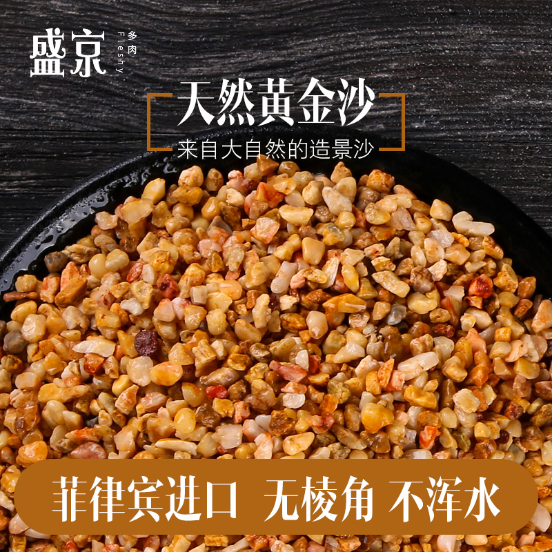 黄金沙铺面石水族鱼缸造景多肉