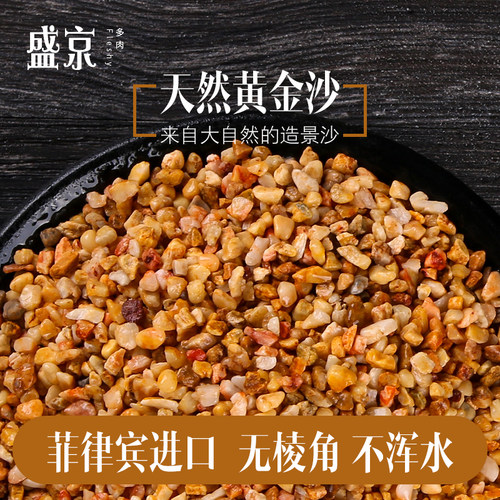 黄金沙铺面石水族鱼缸造景多肉
