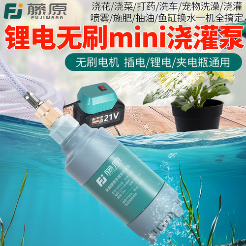 藤原迷你无线锂电抽水泵抽油泵