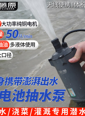 大功率无线锂电抽水泵农用灌溉潜水泵便携式小型多功能抽油加药泵