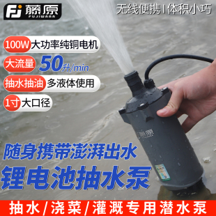 大功率无线锂电抽水泵农用灌溉潜水泵便携式小型多功能抽油加药泵