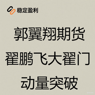 郭翼翔期货培训视频 翟鹏飞大翟门动量突破 完整版