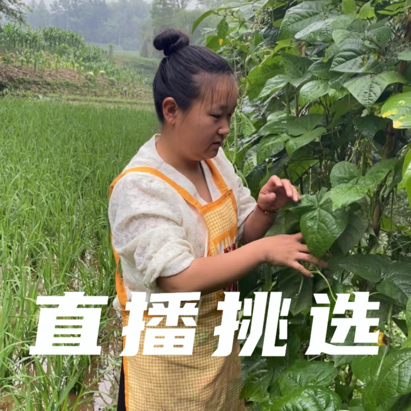 新鲜果蔬随机混搭组合