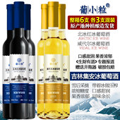 葡小粒 吉林集安北冰红冰酒甜型女士红酒冰白甜白葡萄酒 冰葡萄酒