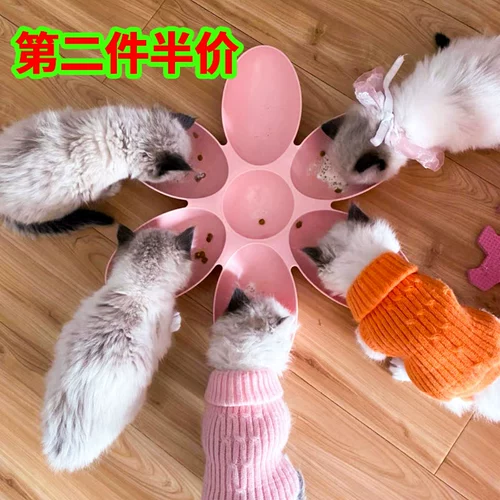 Кошачья чаша чаша переходная кошка питает чаши с лепедной миской Kitter Anti -Fell Rice Bowl Dog Bow